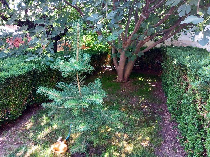 Foto 15