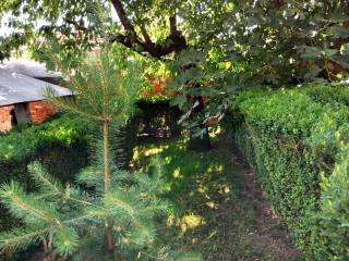Foto 21