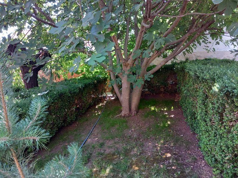 Foto 23