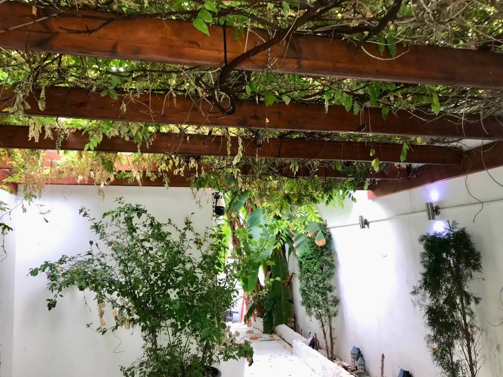 Foto 23