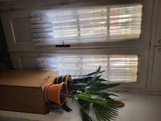 Foto 9