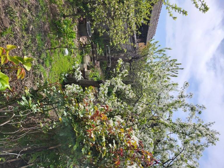 Foto 15