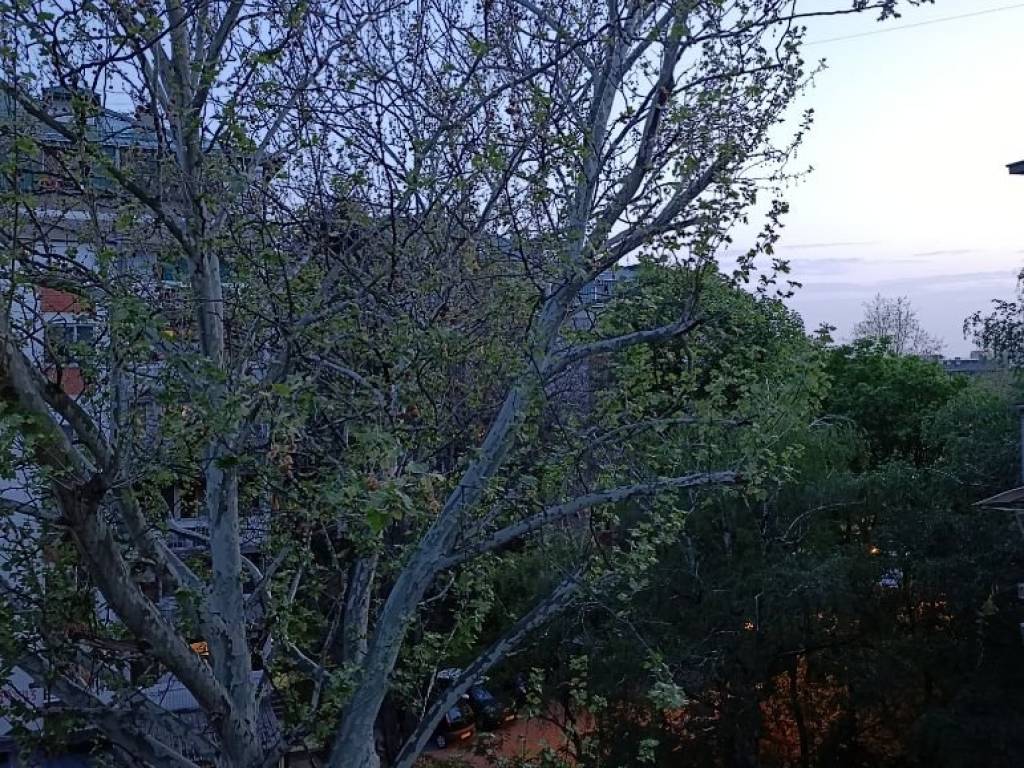Foto 25