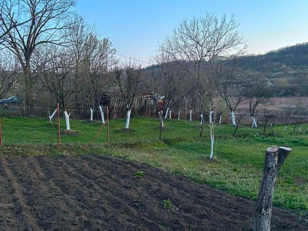 Foto 11