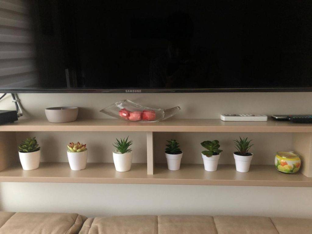 Foto 13