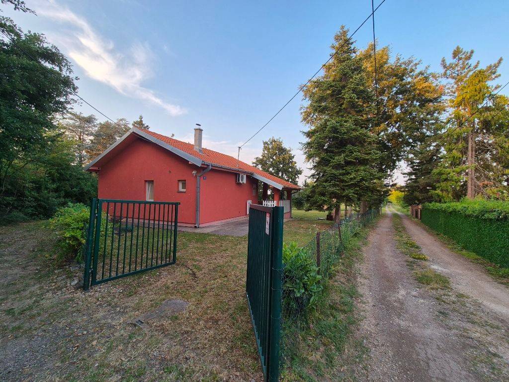 Foto 15