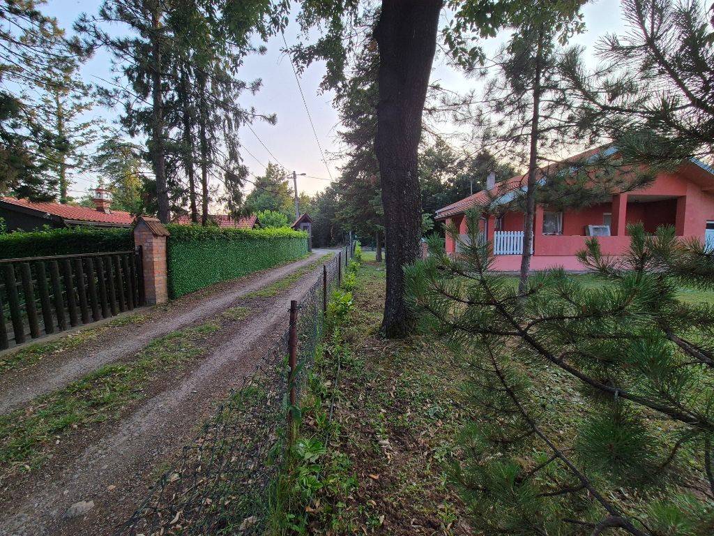Foto 16
