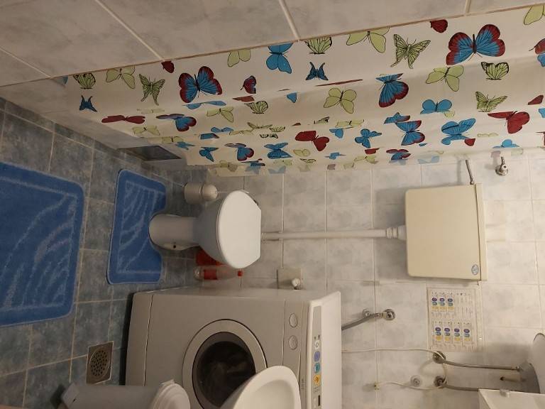 Foto 5