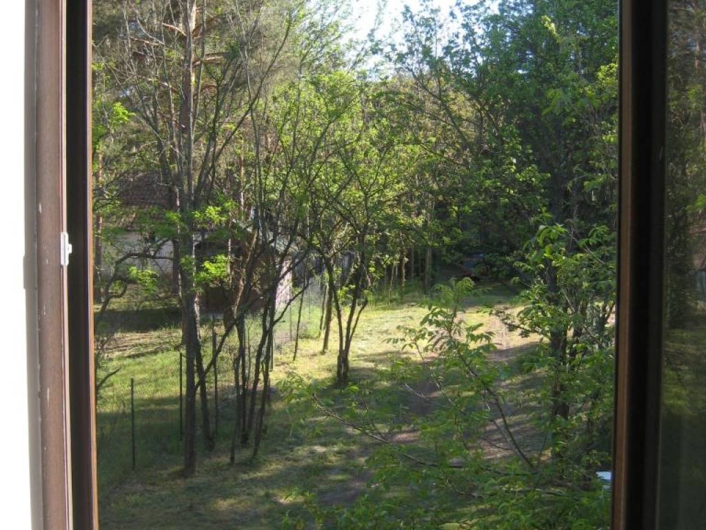 Foto 20