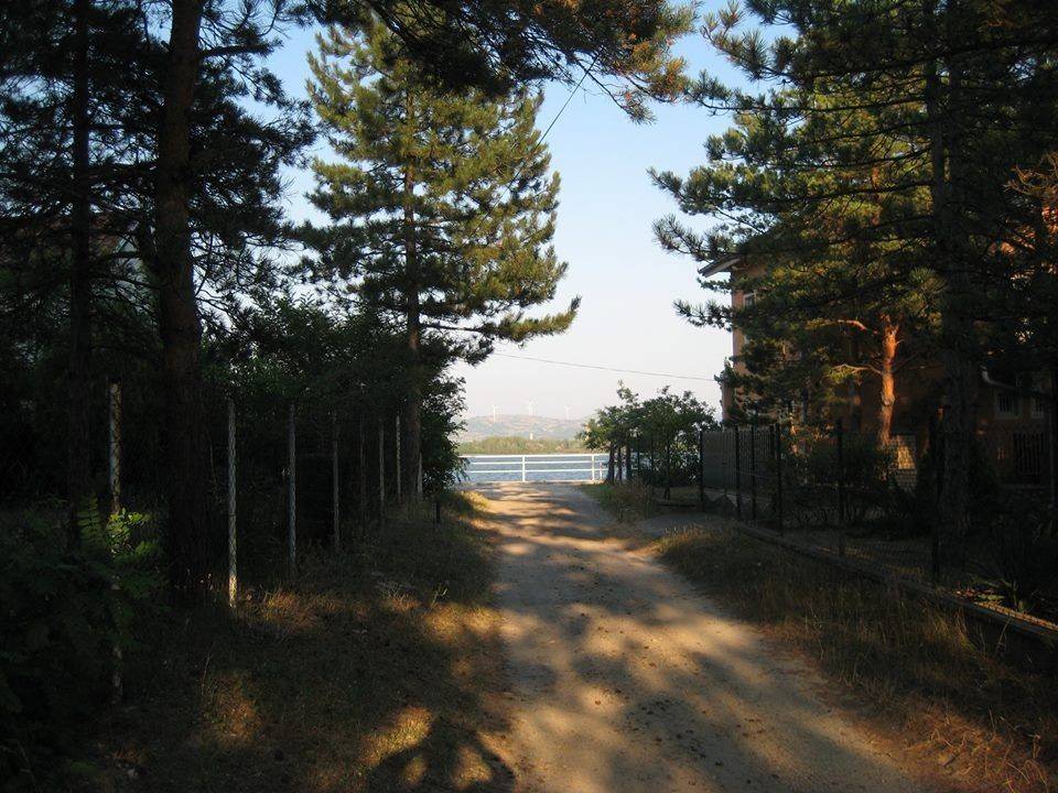 Foto 21