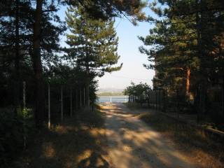 Foto 21