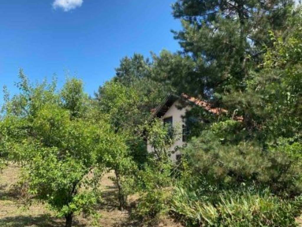 Foto 10