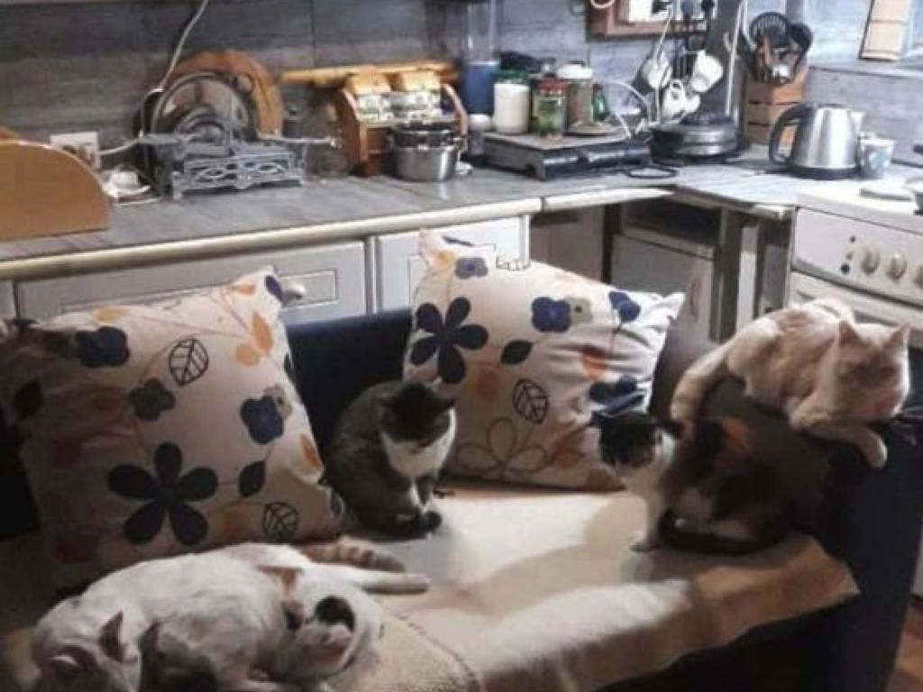 Foto 14