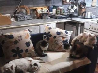 Foto 14