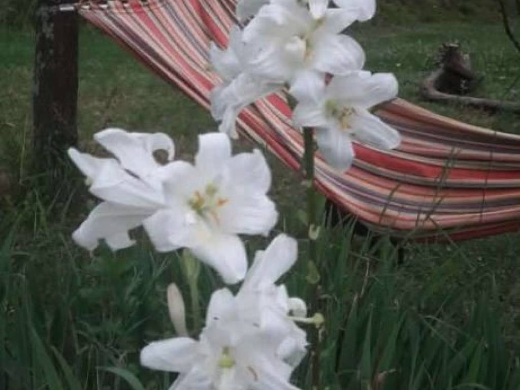 Foto 18