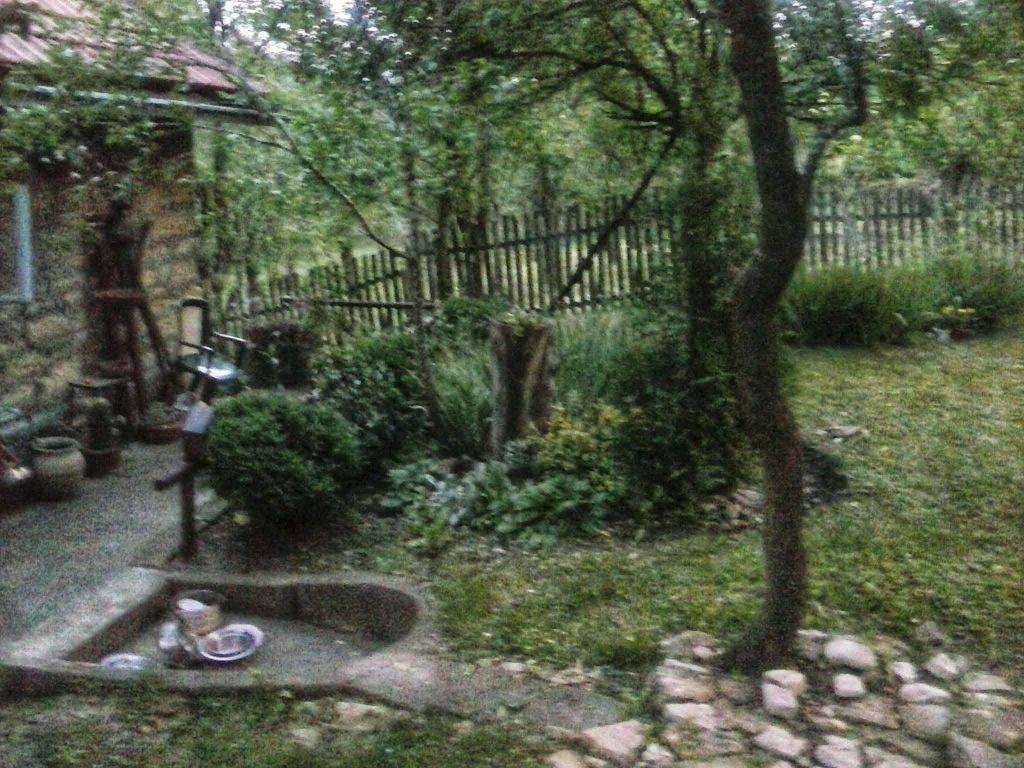 Foto 21