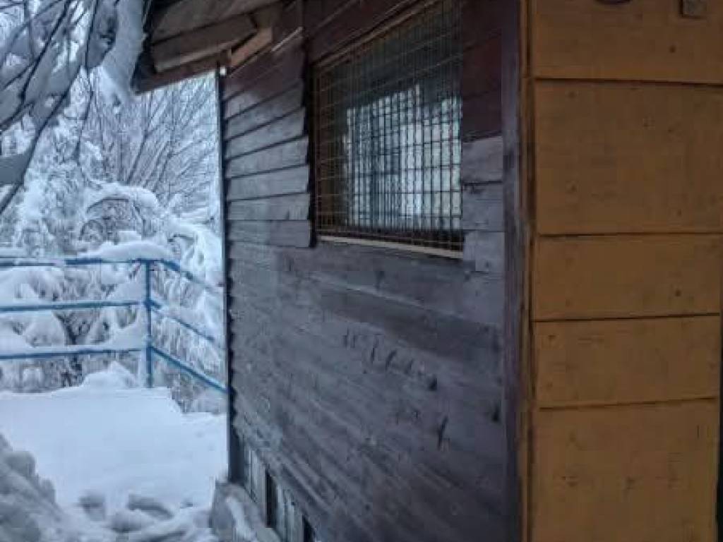 Foto 23