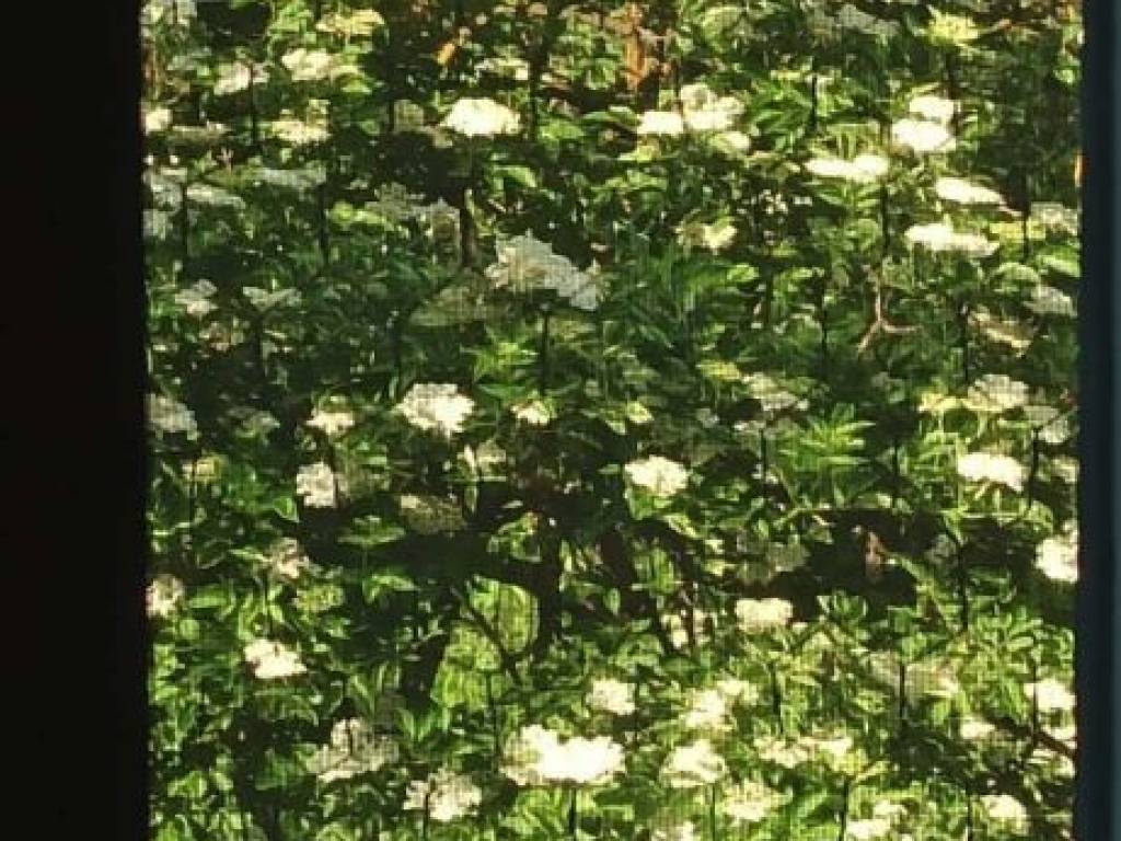 Foto 26