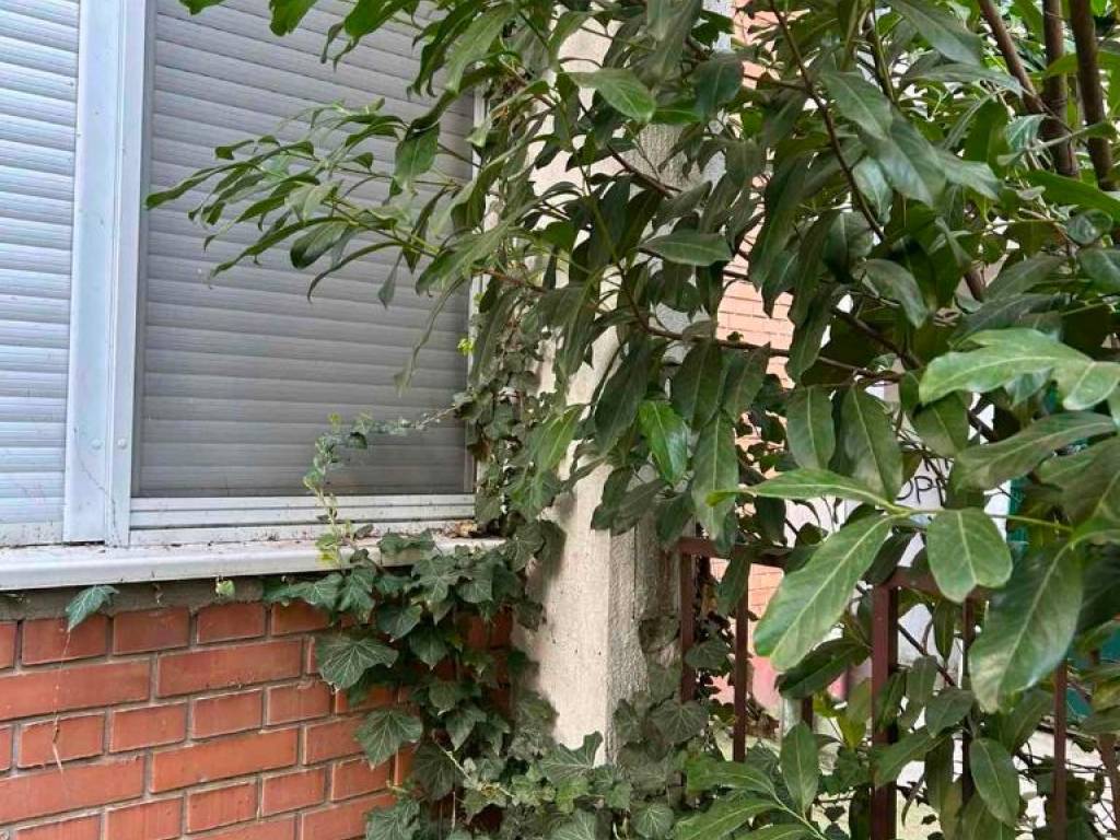 Foto 16