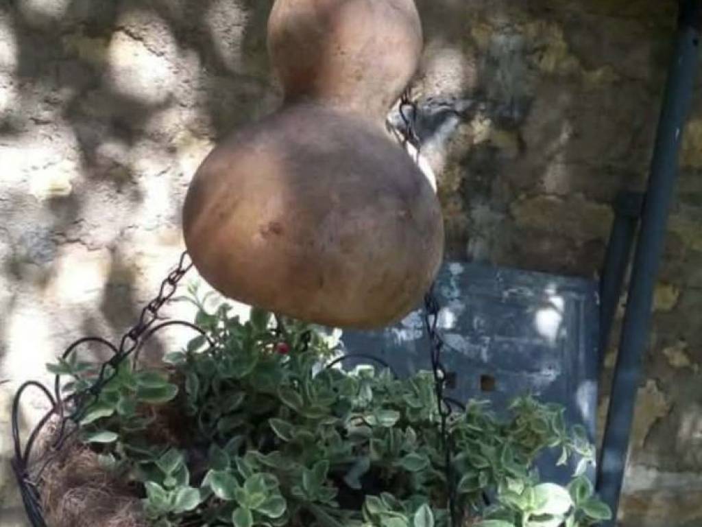 Foto 36