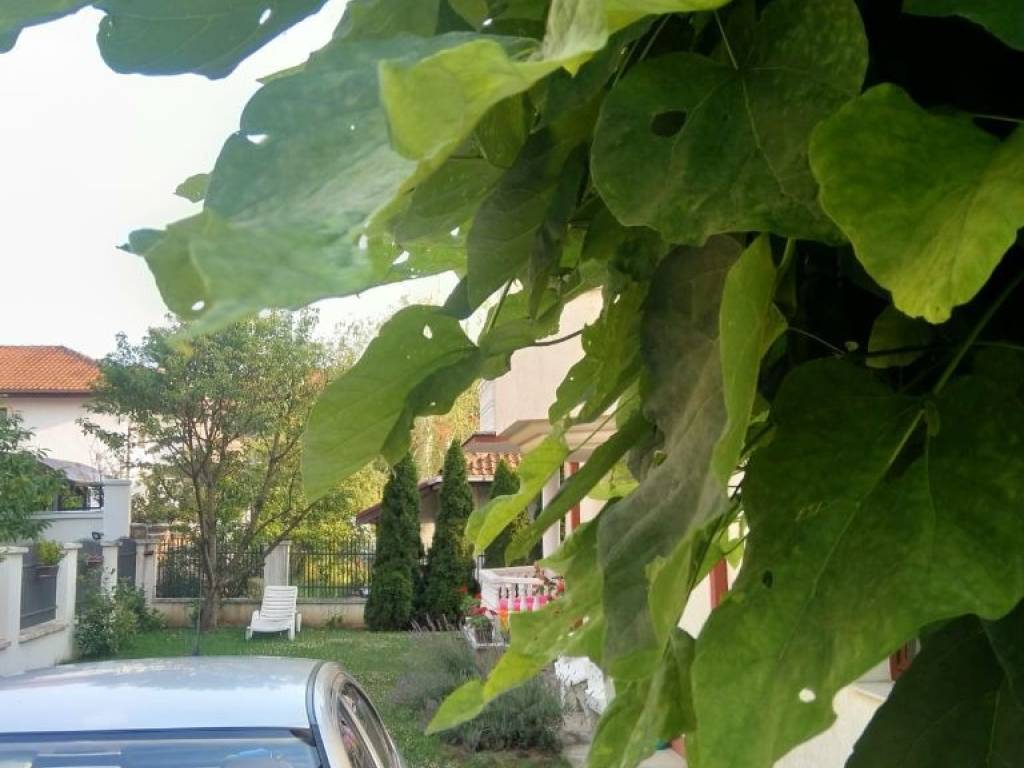 Foto 17