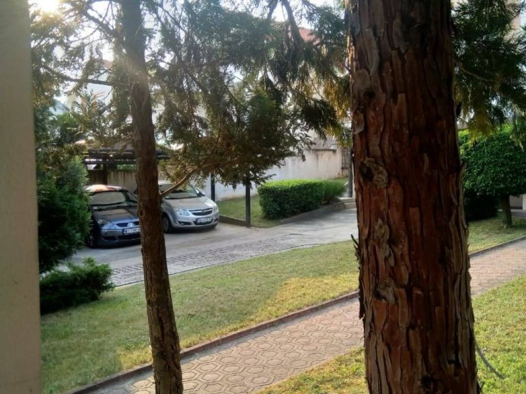 Foto 20