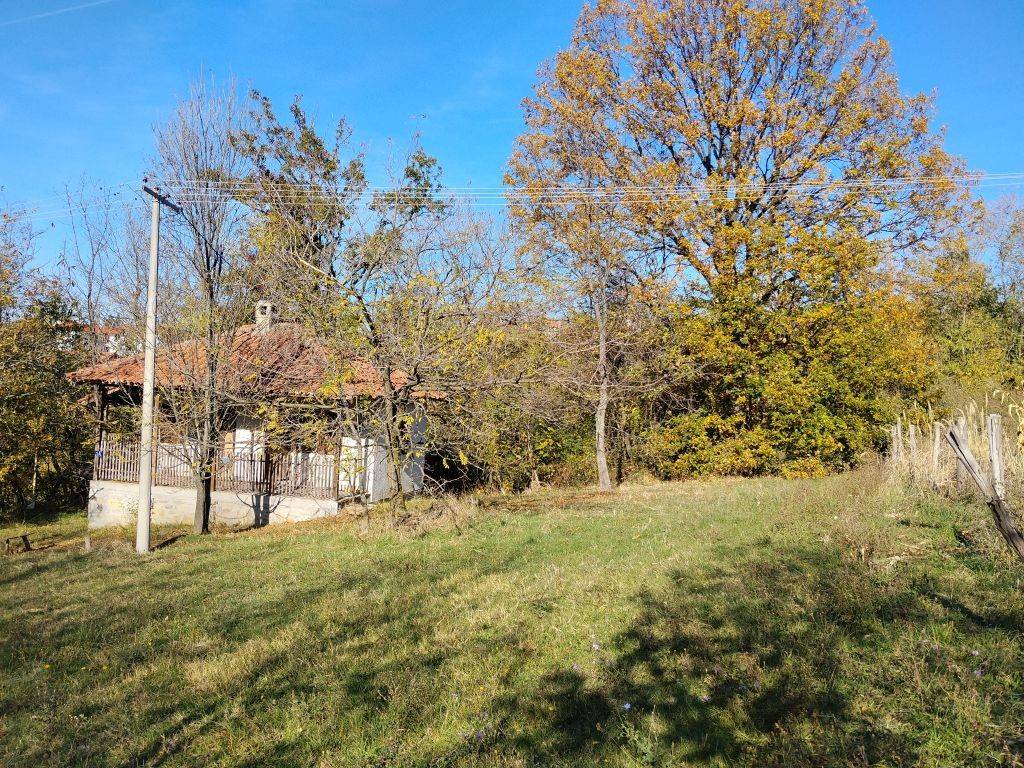 Foto 7