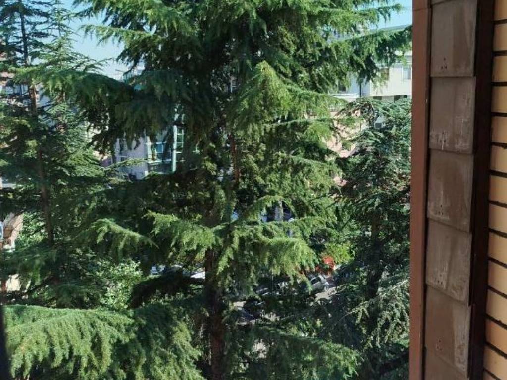 Foto 50