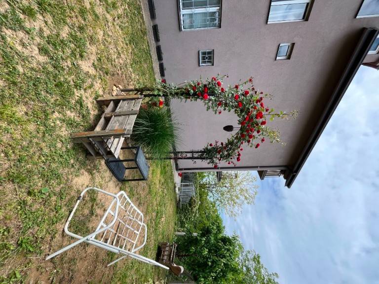 Foto 18