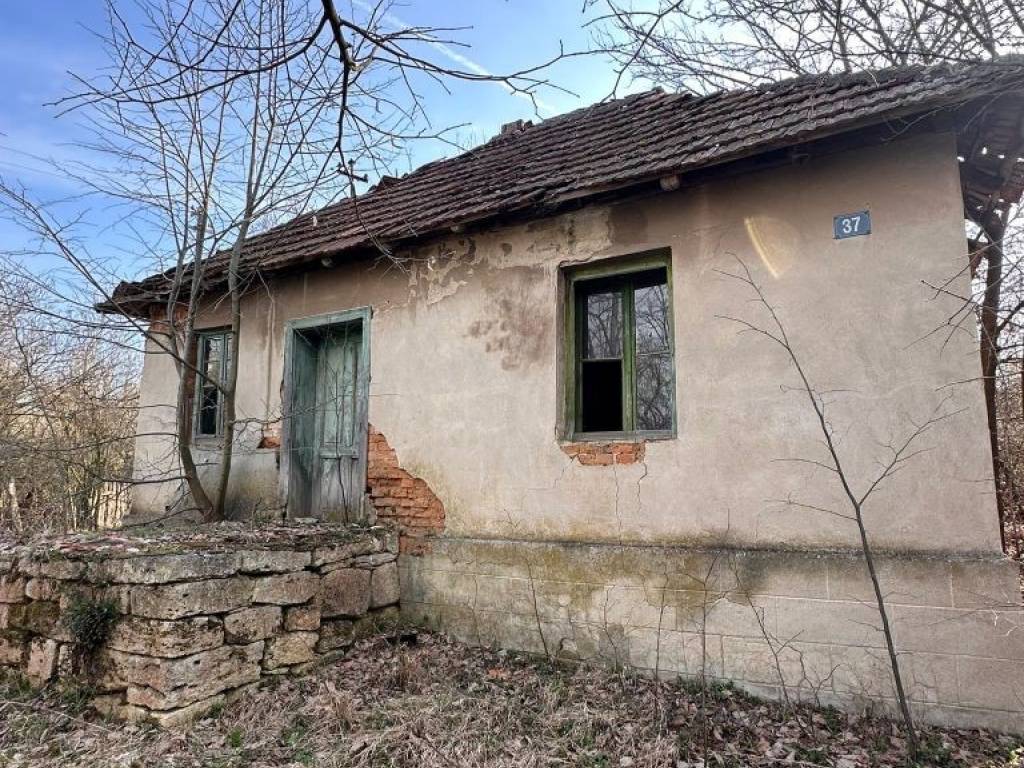 Foto 19