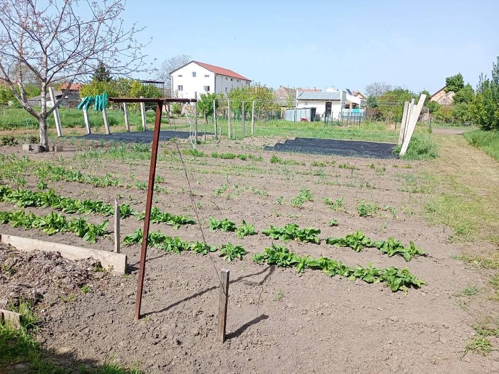 Foto 10