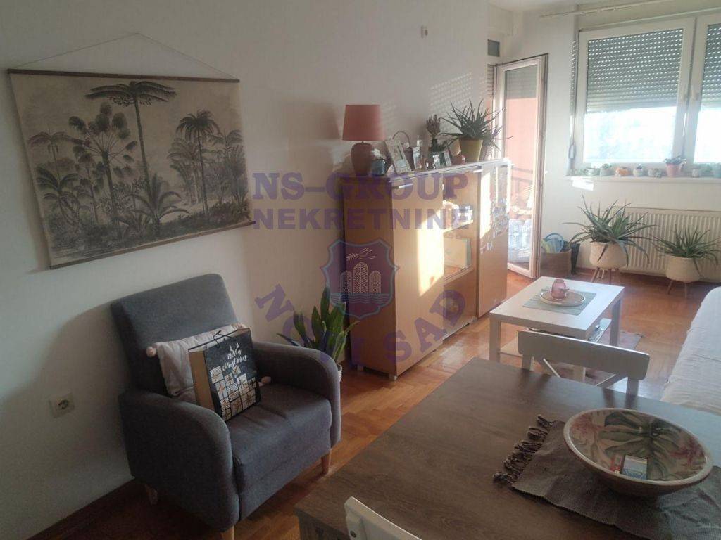 Foto 3