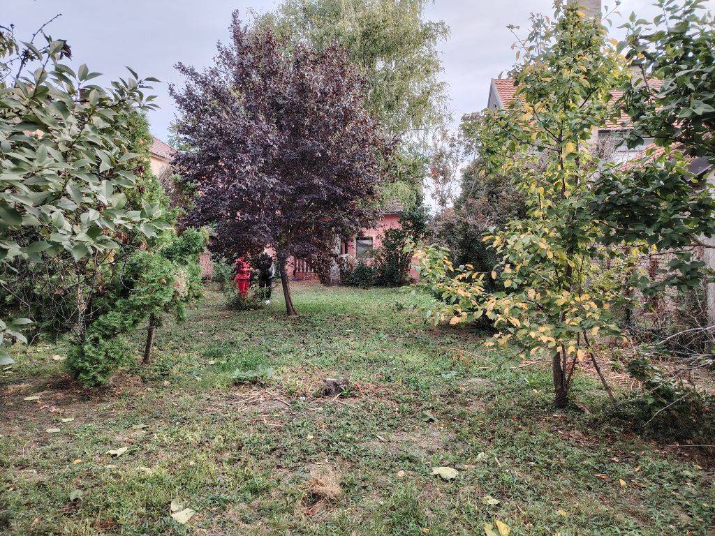 Foto 23