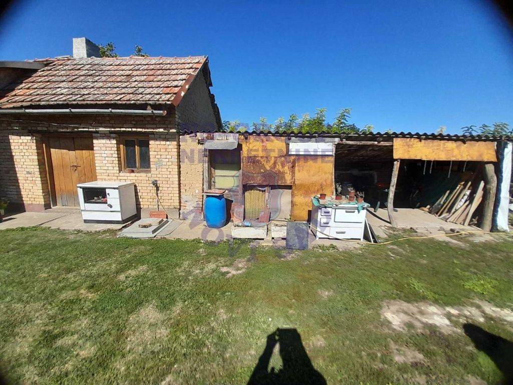 Foto 14