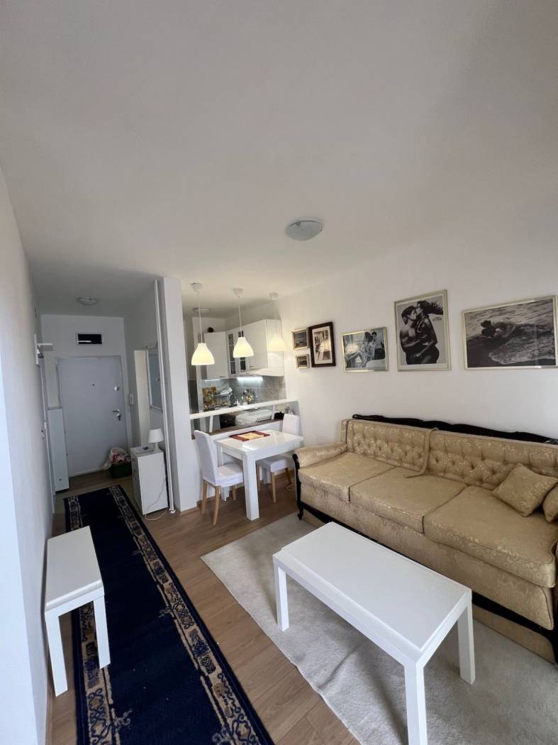 Stan – Beograd - Prikaz 4