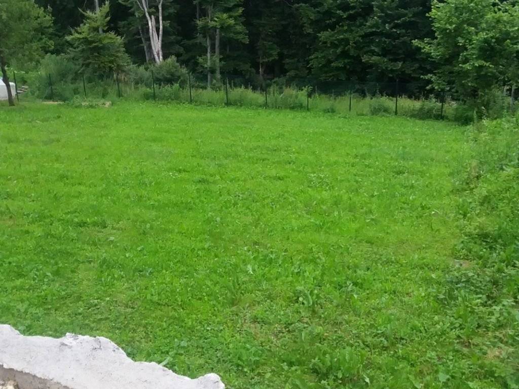 Foto 20