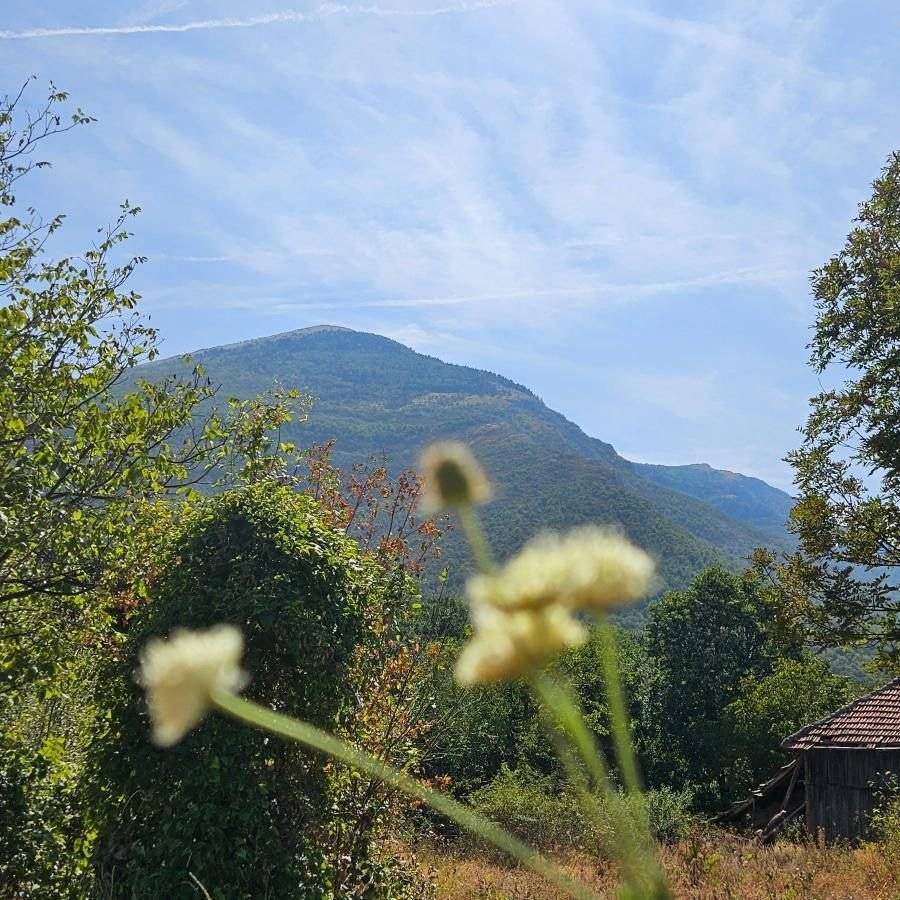 Poljoprivredno zemljište