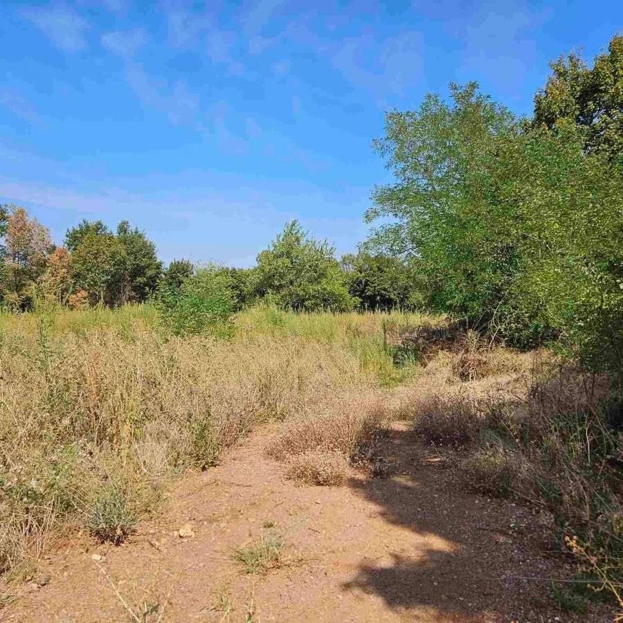Poljoprivredno zemljište - Prikaz 2