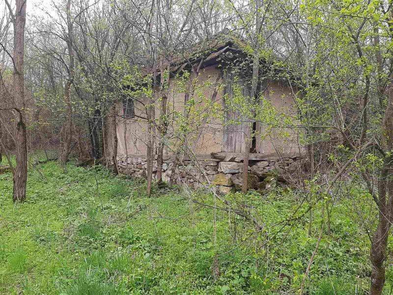 Foto 13