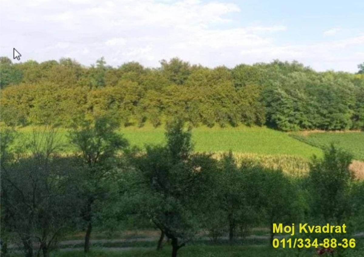 Fruška gora, Erdevik - Karađorđeva, 22.98a, Karađorđeva