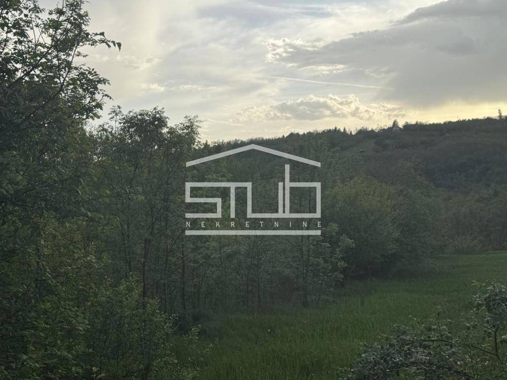 Građevinski plac, 24 ari, Kosmaj ID#1316 - Prikaz 5