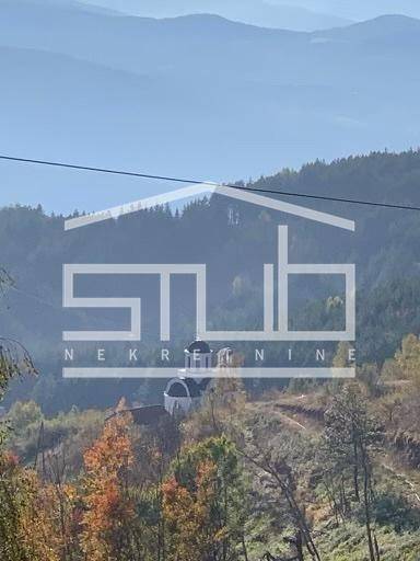 Stan – Raška - Kopaonik - Više