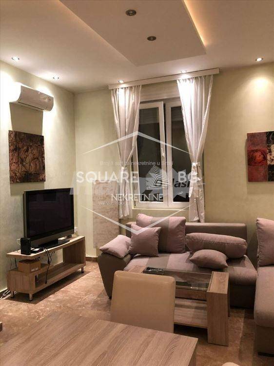 Dedinje, 2.0 namešten, pet friendly ID#5515 - Prikaz 2
