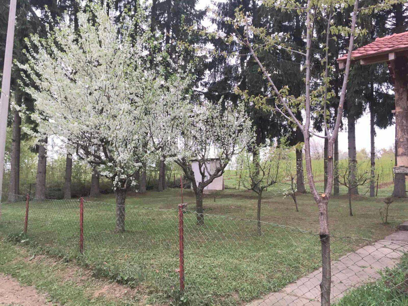 House in Opština Vrnjačka Banja, Stanišinci - Više