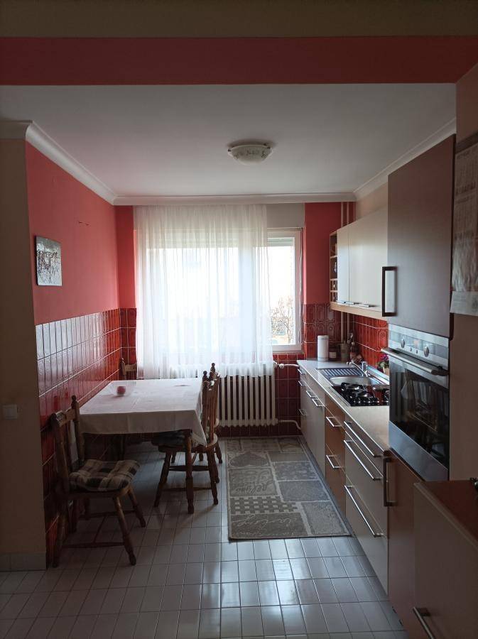 Kuća – Petrovaradin, Stari Majur, MZ Petrovaradin - Prikaz 5