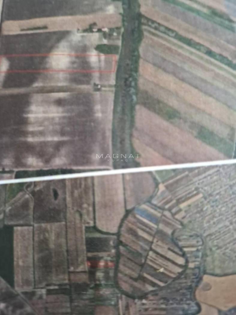 Borča poljoprivredno zemljište 2 ha, 1 km od Pupinovog mosta ID#5765