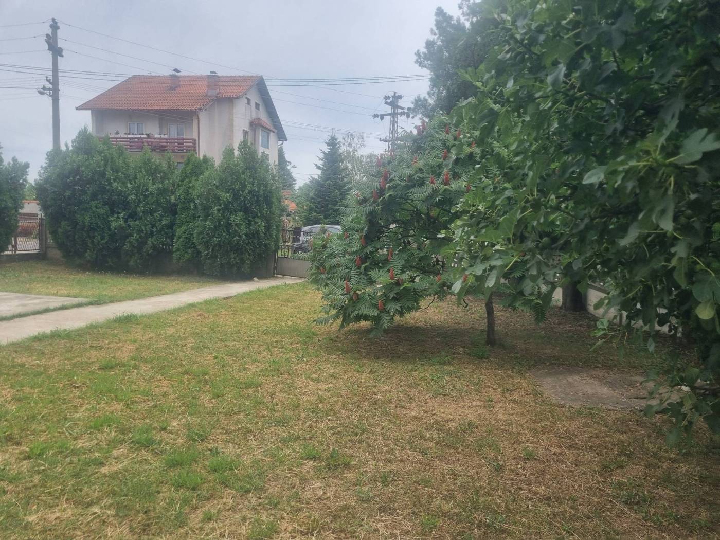 Kuća – Beograd - Prikaz 4