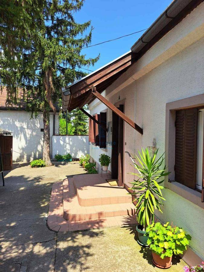 Građevinsko zemljiše, Torlak, 44a - Prikaz 3