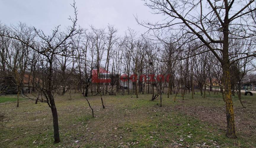 Kuća – Subotica - Prikaz 5