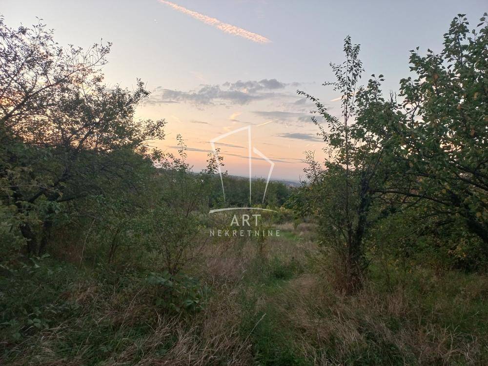 Terreny, 1000 m²